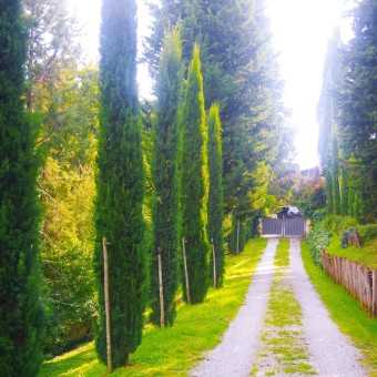 Gli Ingressi